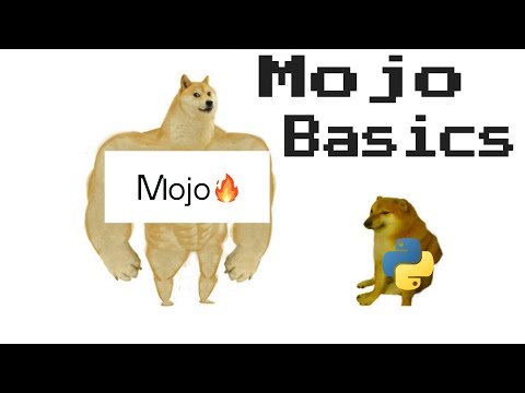 Mojo Programming Language Basics || Tutorial